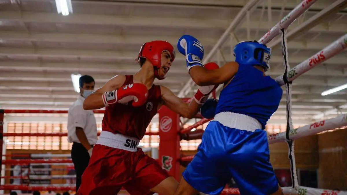 fase nacional Box